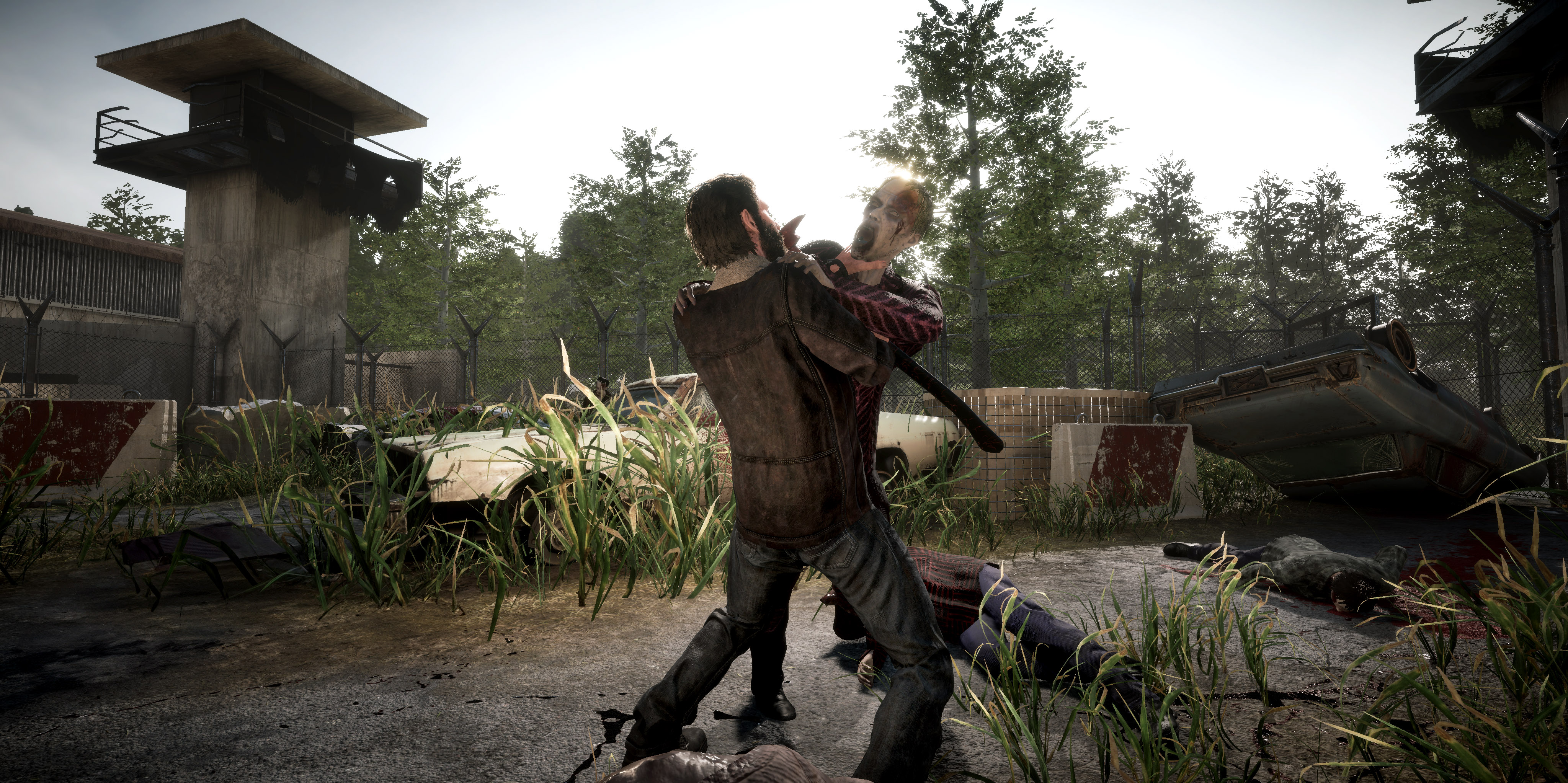 Meridiem games PS4 Telltales The Walking Dead Final Season